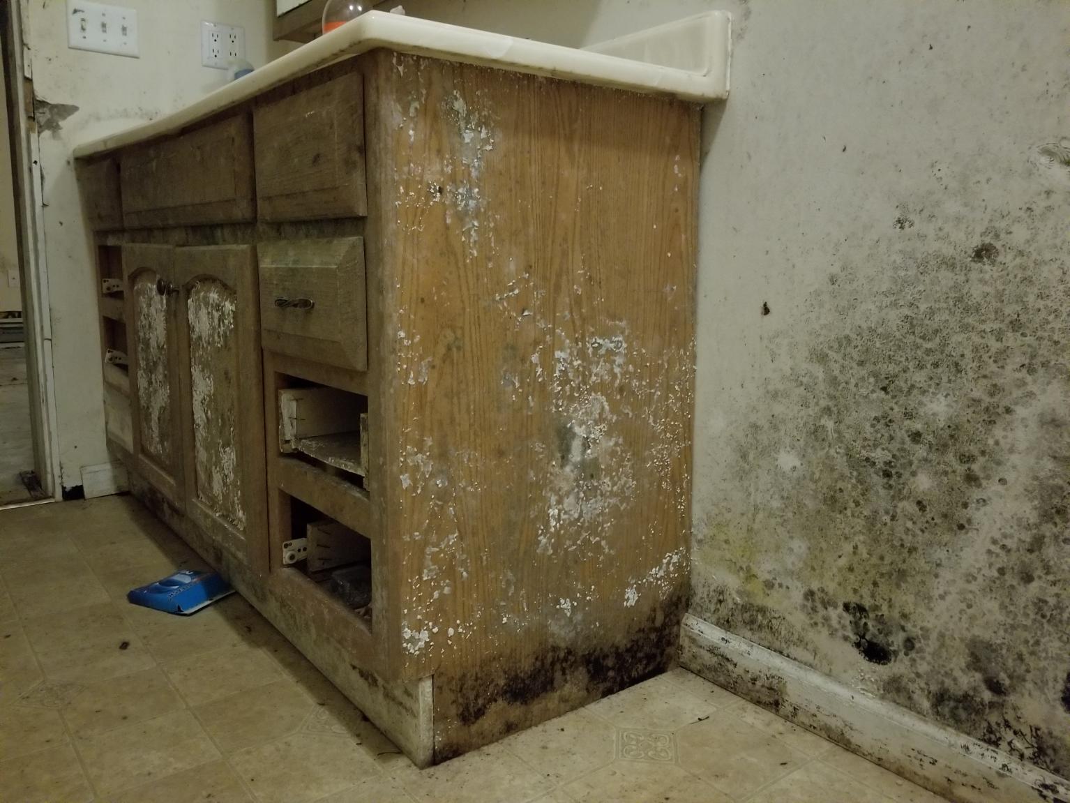 7 Signs You Need Water Damage Restoration in Tehama County